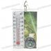 Compass Thermometer (Random Pattern)