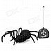Remote Controlled Simulation Black Widow Spider Toy (4 x AAA) Remote Controlled Simulation Black Widow Spider Toy (4 x AAA)