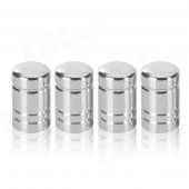 Aluminum Alloy Car Tire Valve Caps - Silver (4 PCS)
