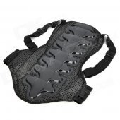 Fish Phosphorus Style Professional Motorcycle Cycling Race Back Support - Black