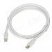 Mini DisplayPort DP Male to Male Data Cable - White (1m) Mini DisplayPort DP Male to Male Data Cable - White (1m)