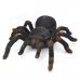 27MHz 2-CH Radio Control Realistic Crawling Movement Tarantula - Black + Dark Coffee (4 x AA) 27MHz 2-CH Radio Control Realistic Crawling Movement Tarantula - Black + Dark Coffee (4 x AA)