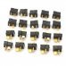 Male T Plug Connectors for R/C Helicopter - Black + Golden (20 PCS) Male T Plug Connectors for R/C Helicopter - Black + Golden (20 PCS)
