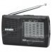 DEGEN DE321 DSP Full-band FM / MW / SW Radio w/ 3.5mm Jack + Strap - Black + Silver (2 x AA) DEGEN DE321 DSP Full-band FM / MW / SW Radio w/ 3.5mm Jack + Strap - Black + Silver (2 x AA)