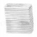 N33 Standard NdFeB Clear Magnet - Silver (15 PCS)