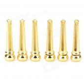 DJS6 Acoustic Guitar Bridge Pins Set - Golden (6 PCS)