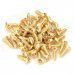 SZ027J Electric Guitar Guard Board Screws - Golden (50 PCS) SZ027J Electric Guitar Guard Board Screws - Golden (50 PCS)