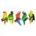 FUNI CT-6686 Cute Parrot Style Magnetic Sticker - Grass Green + Black (5 PCS) FUNI CT-6686 Cute Parrot Style Magnetic Sticker - Grass Green + Black (5 PCS)