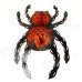 Halloween Paper Spider Ceiling / Wall Hanging Decoration - Orange + Black Halloween Paper Spider Ceiling / Wall Hanging Decoration - Orange + Black