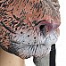 Funny Tiger Style Plastic Face Mask for Halloween / Cosplay - Black + Coffee