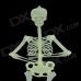 Skull Skeleton Style Glow-in-the-Dark Gadget for Halloween - Green (Size L)