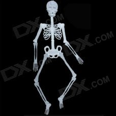 Halloween Glow-in-the-dark Plastic Skull Skeleton Decoration Props - White Halloween Glow-in-the-dark Plastic Skull Skeleton Decoration Props - White