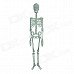 Halloween Glow-in-the-dark Plastic Skull Skeleton Decoration Props - White Halloween Glow-in-the-dark Plastic Skull Skeleton Decoration Props - White
