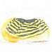 Halloween Costume Makeup Props Bee Skirt + Wings + Headband + Stick Set - Yellow + Black