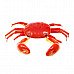 Funny Aquatic Magnet Set (Crab+Lobster Pack)