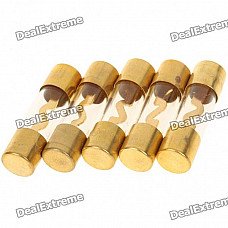 80A Tube Fuse for Car Audio (5-Piece Pack)