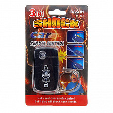 Shock-Your-Friend Car Remote Keyless Entry with LED Flashlight (2-Pack)