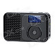 PPS003 1.5" LCD Digital Audio Broadcasting HD DAB FM Radio - Black
