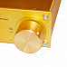 A960 I CONCERTO 100W Digital Audio Power Amplifier - Golden