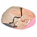 George W. Bush Style Emulsion Makeup Face Mask - Black + Pink