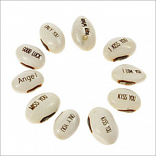 White Magic Beans with Assorted Messages (10-Pack Growing Plant)