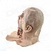 Halloween Natural Rubber Bald Ghost Mask - Red + White