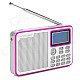 Singbox V3 1.7" LCD Full-Band FM1 / FM2 / MW / SW / LW Radio Speaker w/ TF / USB - Silvery Grey