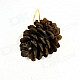 Dried Fruit Style Christmas Tree Ornaments - Golden + Brown (6 PCS)