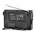 TECSUN PL-310ET 2.1" LCD Full Band Digital Stereo Radio - Black (3 x AA)