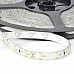 3528 Waterproof 12W 900lm 6000K 300-3528 SMD LED White Light Strip (5m / DC 12~24V)