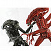 Genuine NECA Aliens "Genocide" Black Warrior vs. Red Warrior Action Figure (2-Pack), 7"