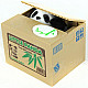 Super Cute Panda Automatically Piggy Coin Bank - Khaki + White (2 x AA)