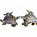 Creative Natural Shells + Conch Handmade Cute TurtleToy - Multicolored