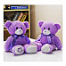 SP-071 Cute Lavender Scent Toy Bear Doll - Purple (30cm)