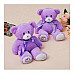 SP-071 Cute Lavender Scent Toy Bear Doll - Purple (30cm)