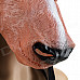 Funny Horse Style Plastic Face Mask for Halloween / Cosplay - Black + Coffee + Multi-Color