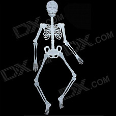 Halloween Glow-in-the-dark Plastic Skull Skeleton Decoration Props - White