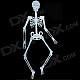 Halloween Glow-in-the-dark Plastic Skull Skeleton Decoration Props - White