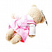 Cute skirt-Wearing Bear with Clock (Pink)