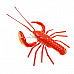 Funny Aquatic Magnet Set (Crab+Lobster Pack)